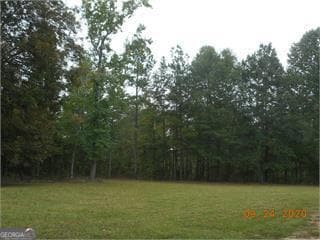 0 Union Point Hwy Unit 10555176, Greensboro, GA 30642