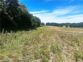 1838 Township Road 1215, Mifflin Township, OH 44805