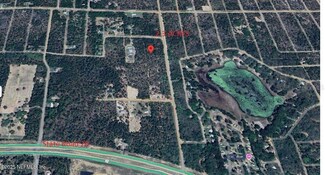 103 Flower Dr, Interlachen, FL 32148