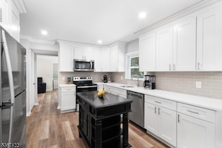243 Free Union Rd, Great Meadows, NJ 07838