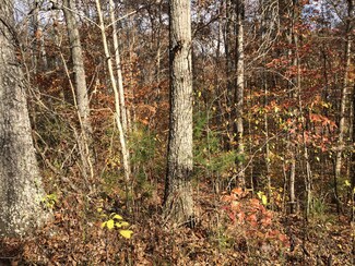 166 Waterview Ln, Cub Run, KY 42729