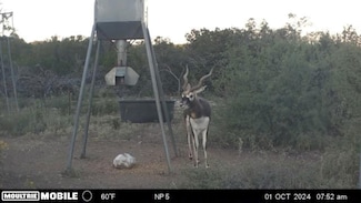 Sd 59500, Rocksprings, TX 78880