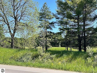 Lot 7 Schoolcraft Rd Unit 7, Bellaire, MI 49615