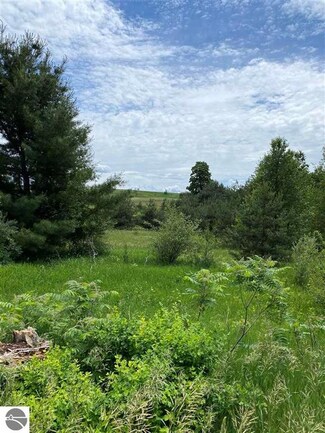 5816 E Duck Lake Rd, Grawn, MI 49637