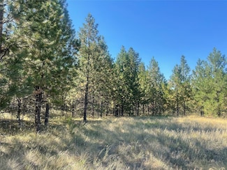 LOT 55 Jette Meadow Rd, Polson, MT 59860