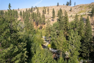 88 TBD Gold Creek Rd, Carlton, WA 98814