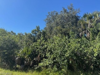 0 3rd St NW Unit 225079718, Naples, FL 34120