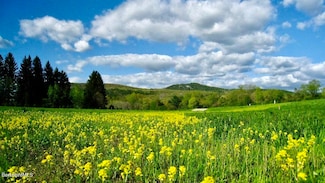 6 van Deusenville Rd, Great Barrington, MA 01230