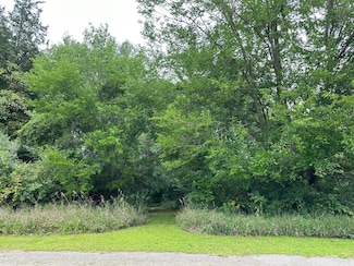 Lot 67 Bellflower, Vineyard Lake, MI 49230