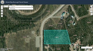 L2 B4 King Salmon Creek Acres, King Salmon, AK 99633