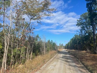 0 Weenee Rd, Jamestown, SC 29453
