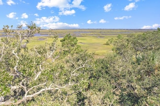 96634 Soap Creek Dr, Fernandina Beach, FL 32034