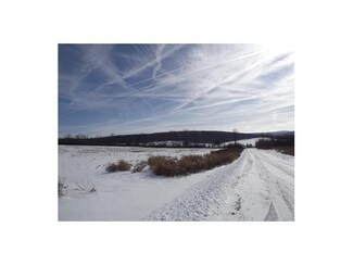 0 Lenard Rd Unit B400767, Angelica, NY 14813