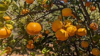 27 Vía Escalon, Temecula, CA 92590