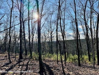 00 Dug Hill Rd, Hurley, NY 12443