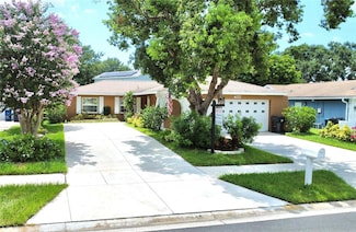 402 Evergreen Dr, Oldsmar, FL 34677