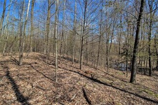 0 E Sugar Grove Parcels C&d Rd Unit 23031830, Fountain, MI 49410
