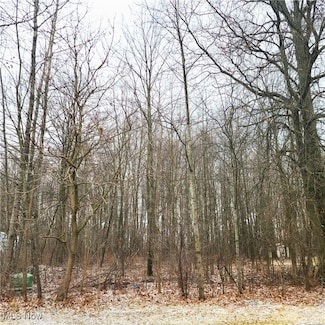 1672 Rustic Run Rd SW, Warren, OH 44481