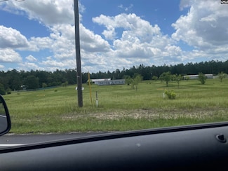 1125 Crystal Springs Dr, Pelion, SC 29123