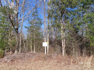lot 2 Winter Rd Unit 2, Rock Hill, SC 29730