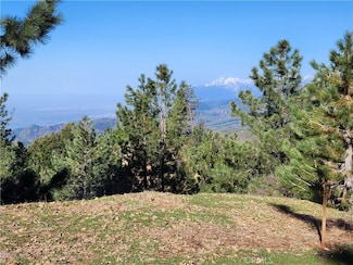 30110 Skyline Dr, Running Springs, CA 92382