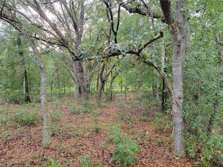 0 NE 110th Ave, Bronson, FL 32621