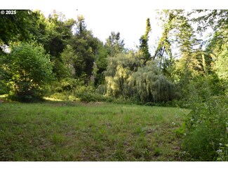 44561 Mckenzie Hwy, Leaburg, OR 97489