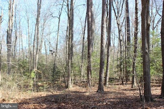 7 Brigantine Blvd, Greenbackvile, VA 23356