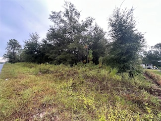 0 SW 140th Ct Unit MFRTB8438324, Ocala, FL 34481