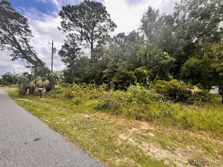 7225 W Porpoise Dr, Homosassa, FL 34447