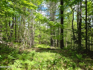 0 E Otis Rd Unit 246507, Otis, MA 01253