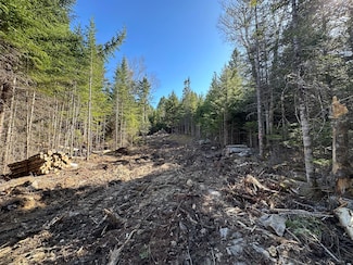 Lot 14 Merganser Dr, Gouldsboro, ME 04607