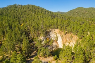 Dan Patch #4 Lafferty Gulch Unit Dan Patch Mine, Keystone, SD 57751
