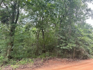 0 Foxfire Dr, Plantersville, TX 77363