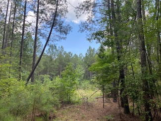 Indian Creek Rd, Clinton, SC 29325