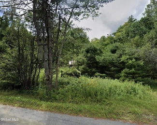 334 Grassville Rd, Brant Lake, NY 12815