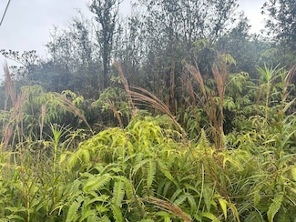 0 Road 11 Unit 708102, Volcano, HI 96785