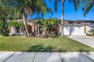 18547 Otterwood Ave, Tampa, FL 33647