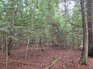 LOT A-1 Elk Heights Ln, Heron, MT 59844