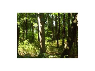 Lot #666 Myers 21b, Loyalhanna, PA 15681