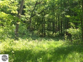 0 Old State Rd Unit 1851068, Whittemore, MI 48770