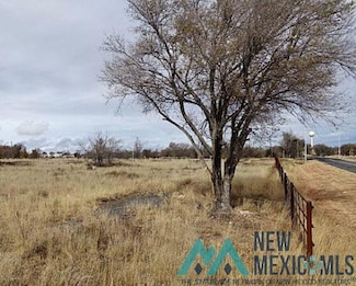 0 S Clayton Ext Tract 5 A 9 217 Acre Tract Unit 20256573, Clayton, NM 88415