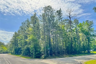 0 Queenswood Plaza Unit 28552403, Huntsville, TX 77320
