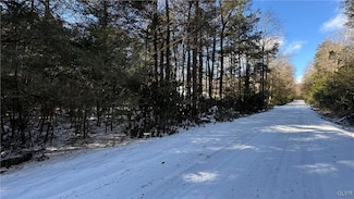 0 Rodda Rd, Albrightsvlle, PA 18210