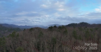 9999999 White Oak Rd, Waynesville, NC 28785