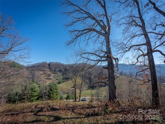 00 Aster Ridge Dr Unit 10, Waynesville, NC 28786