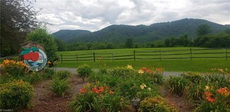 TBD Lot 78 Mcintosh Dr, Lowgap, NC 27024