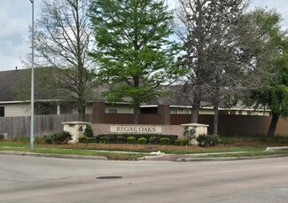 13314 Belvedere Park Ct, Houston, TX 77047