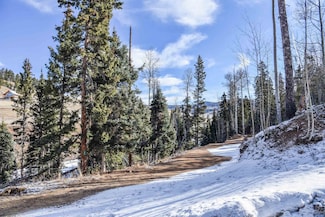 TBD Calle Contento, Red River, NM 87558