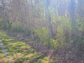 Lot 2 Tennessee 304, Decatur, TN 37322